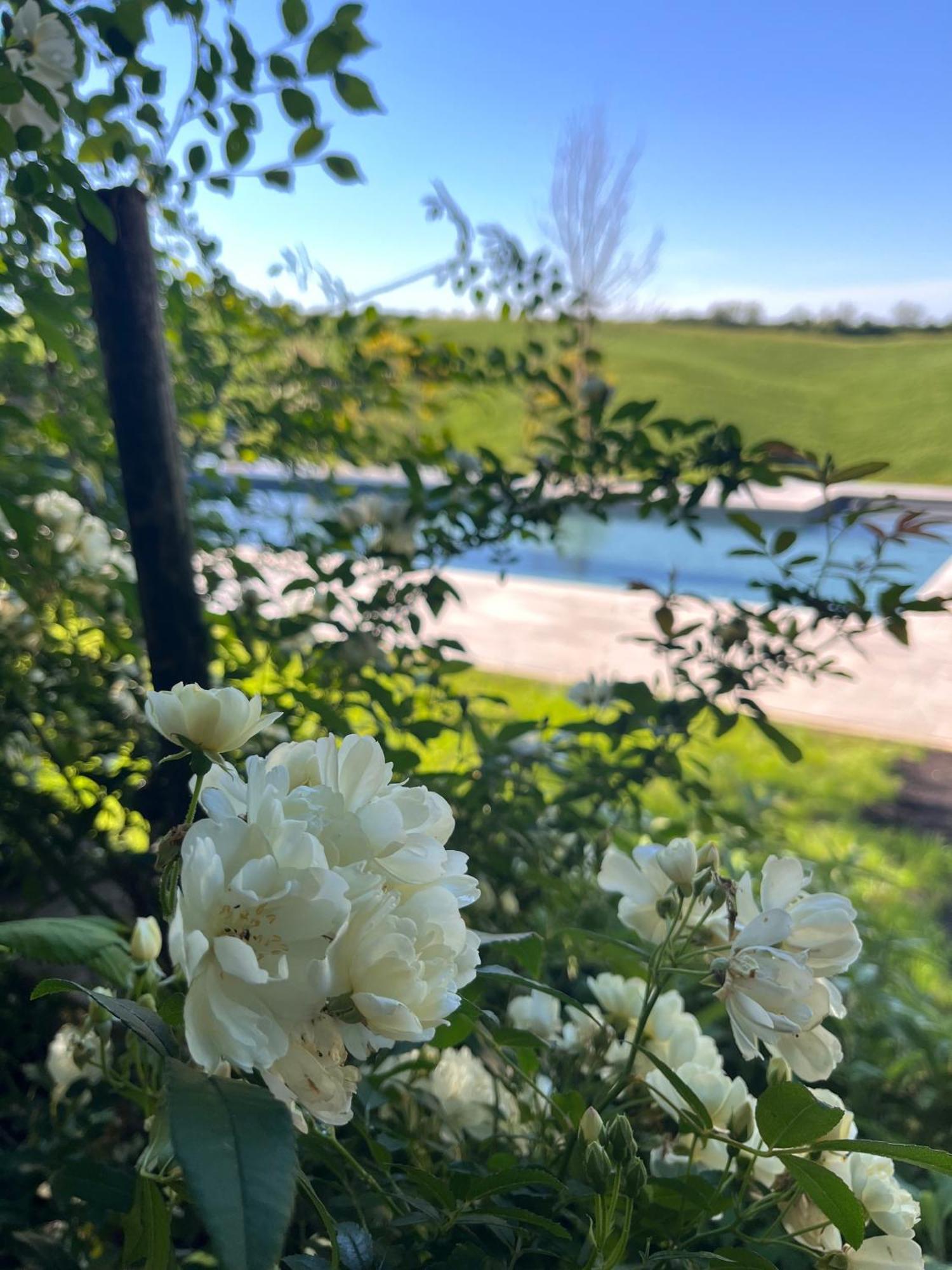 Agriturismo San Fabio Кастельнуово-Берарденґа Екстер'єр фото